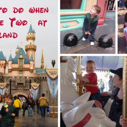 what-to-do-when-you-are-two-at-disneyland