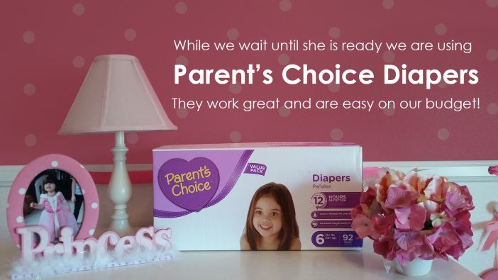 Parents Choice Diapers sold exclusively at Walmart