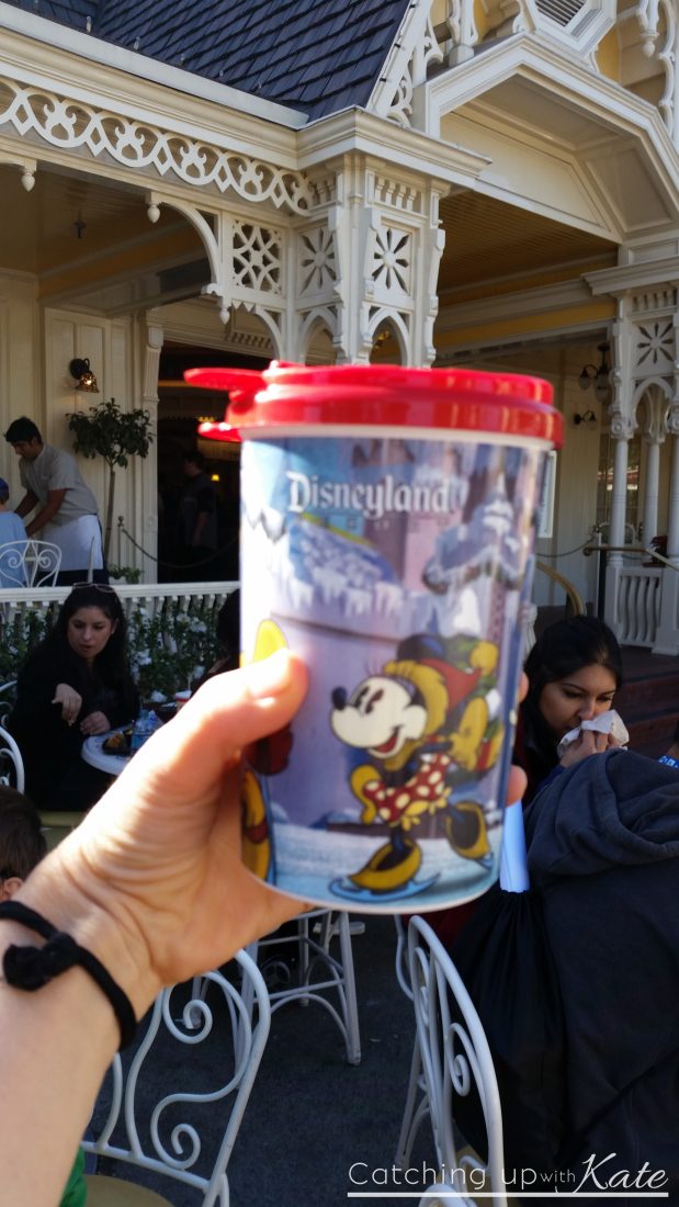 soup disneyland