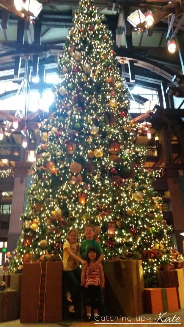 Grand-Californian-Christmas-Tree