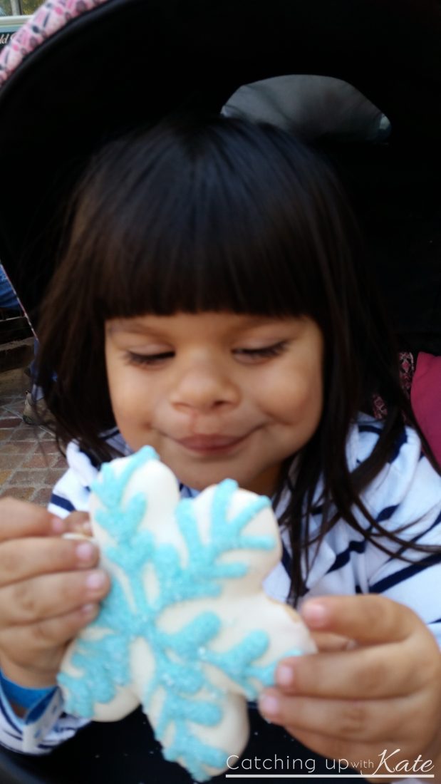 frozen-cookies-disney