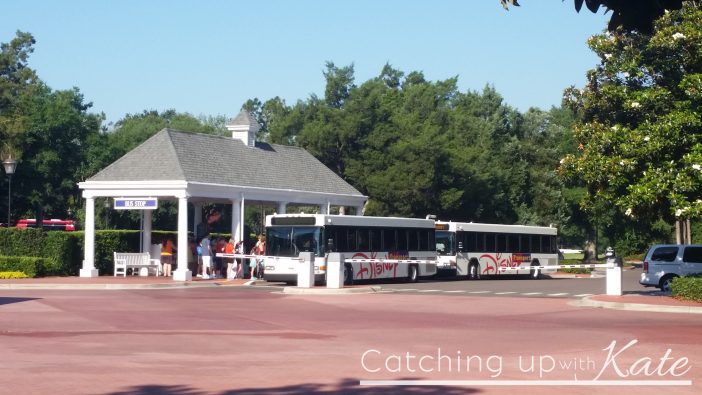 buses for Walt Disney World