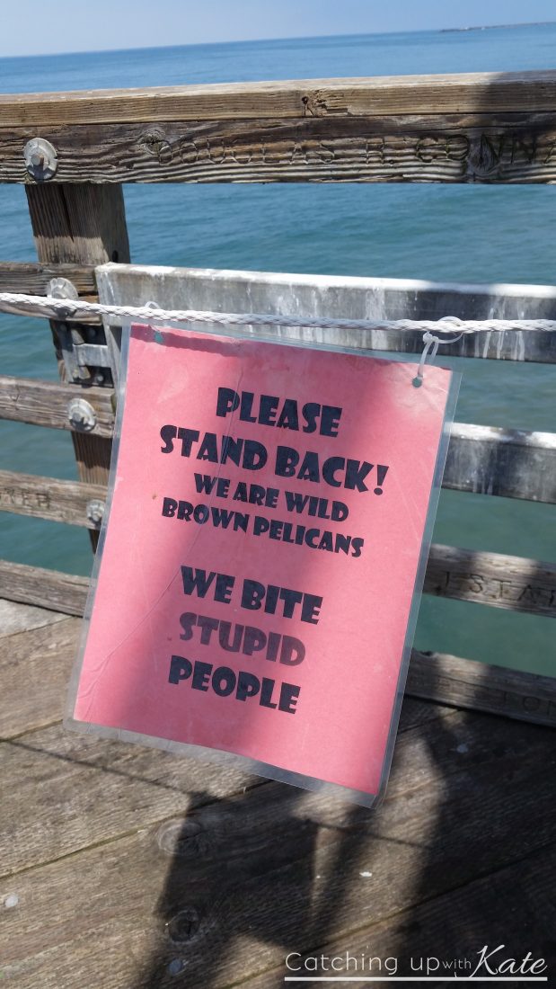 pelican sign oceanside pier
