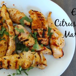 citrus-and-salsa-marinade