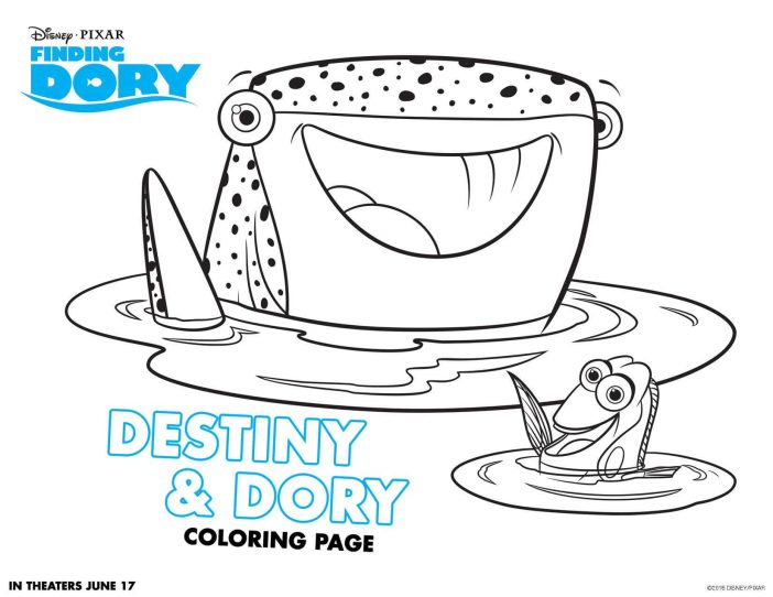 Finding Dory Destiny