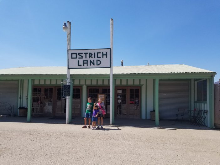 ostrichland is for families