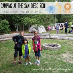 camping at the San Diego Zoo