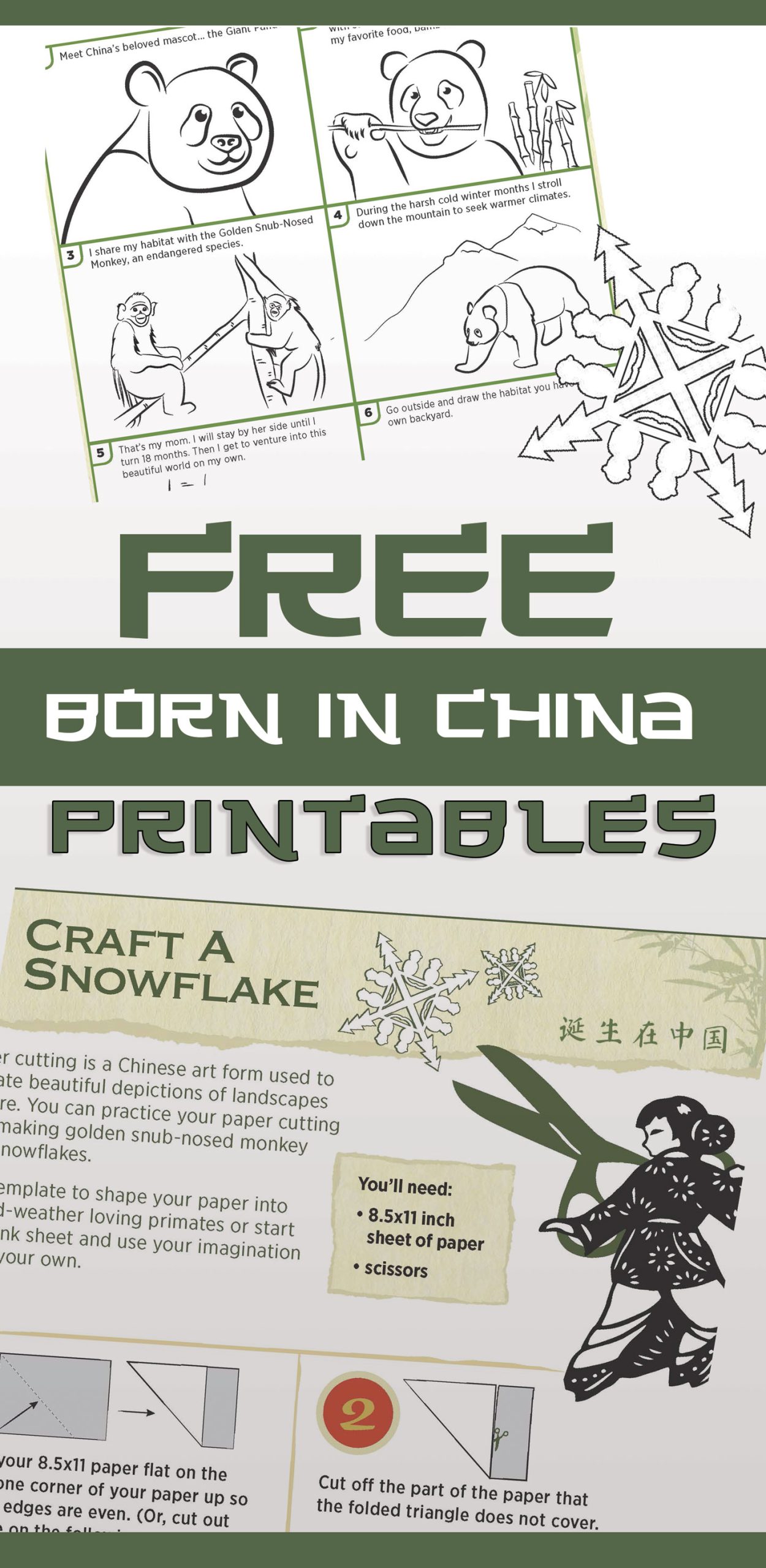 Born in China printable sheets