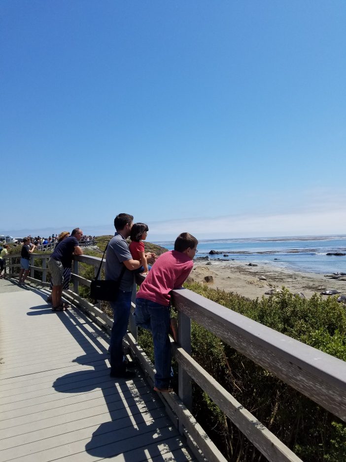 travel pit stop elephant seals california coast