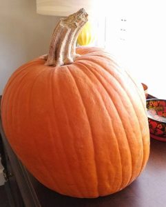 Easy Instant Pot Pumpkin Apple Butter from scratch!