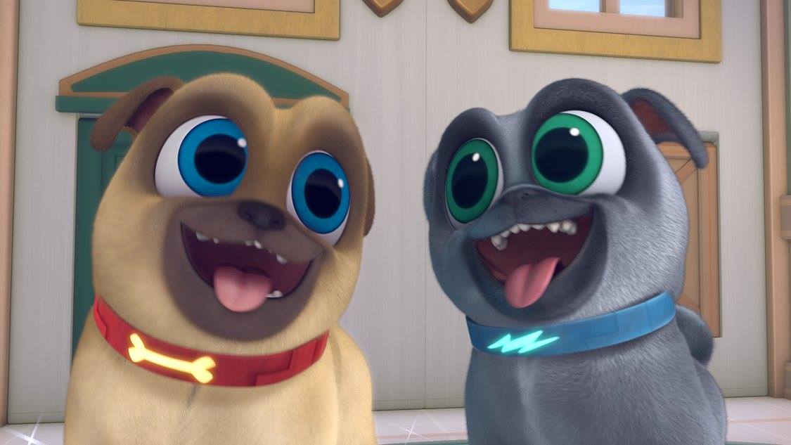 Puppy Dog Pals - Rolly, Bingo, & Hissy on Disney Junior