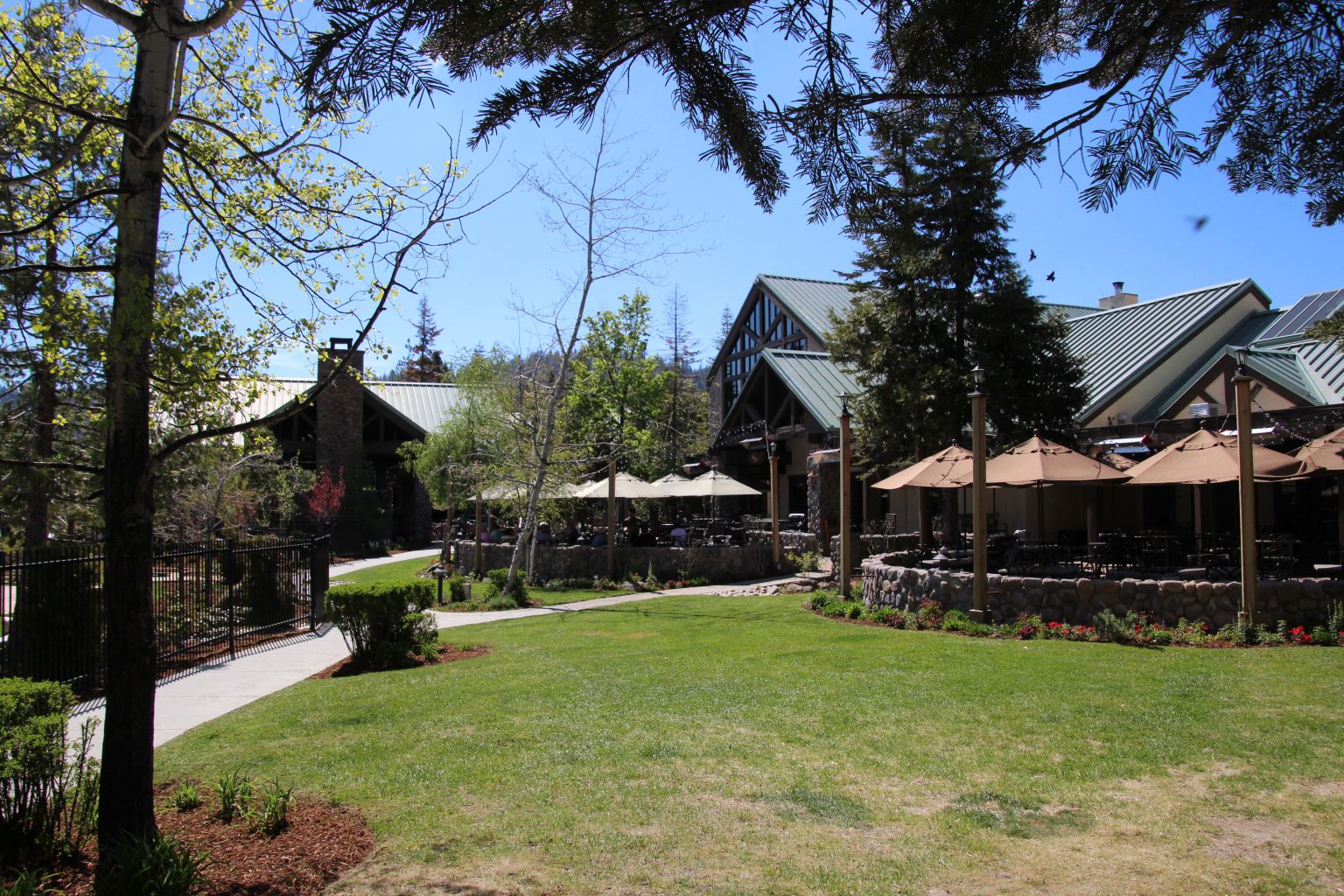 A review and photo tour of Tenaya Lodge in Yosemite