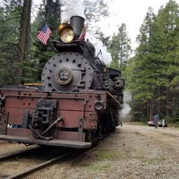 Yosemite Sugar Pine Railroad