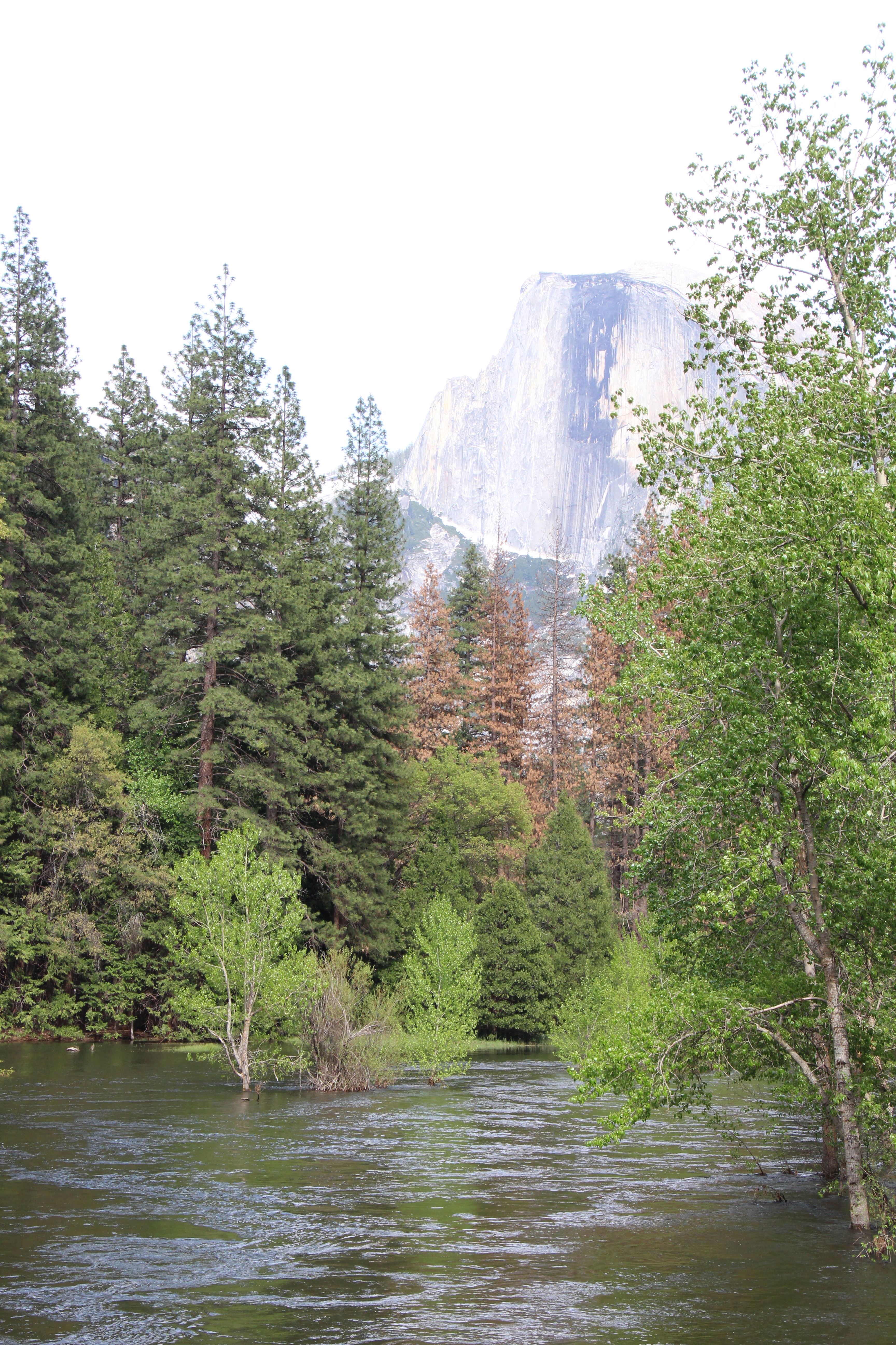 Yosemite river