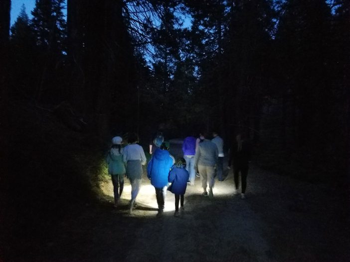 flashlight hike yosemite tenaya lodge