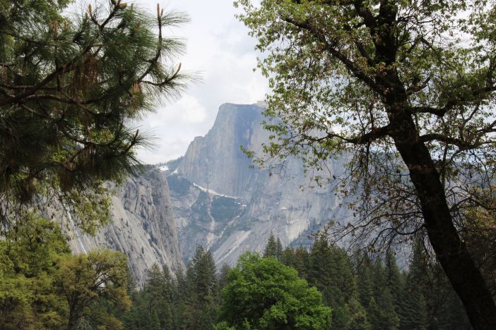 half dome yosemite