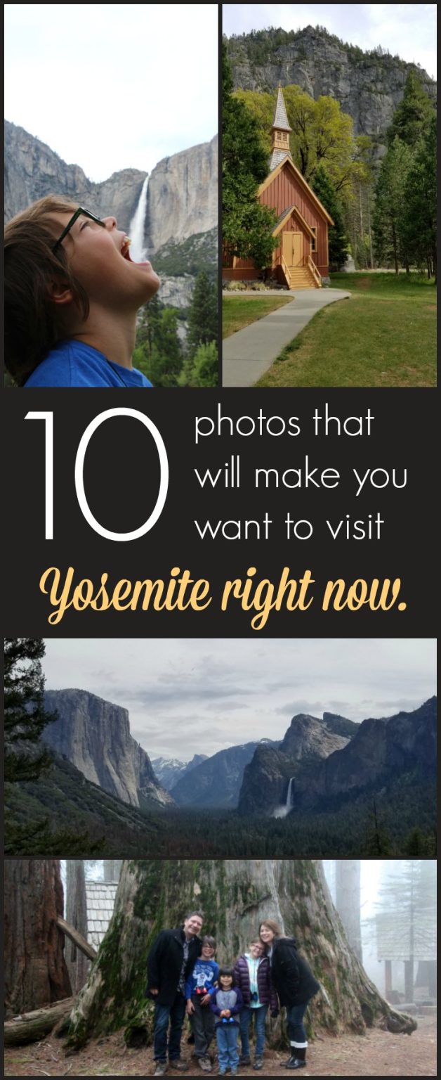 10 photos that will make you want to visit Yosemite right now!