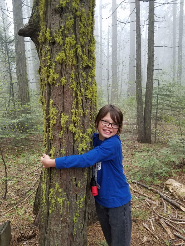 yosemite tree hugger
