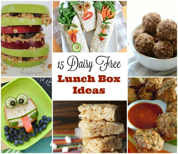 dairy free lunchbox ideas