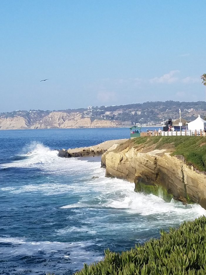 la jolla cliffs