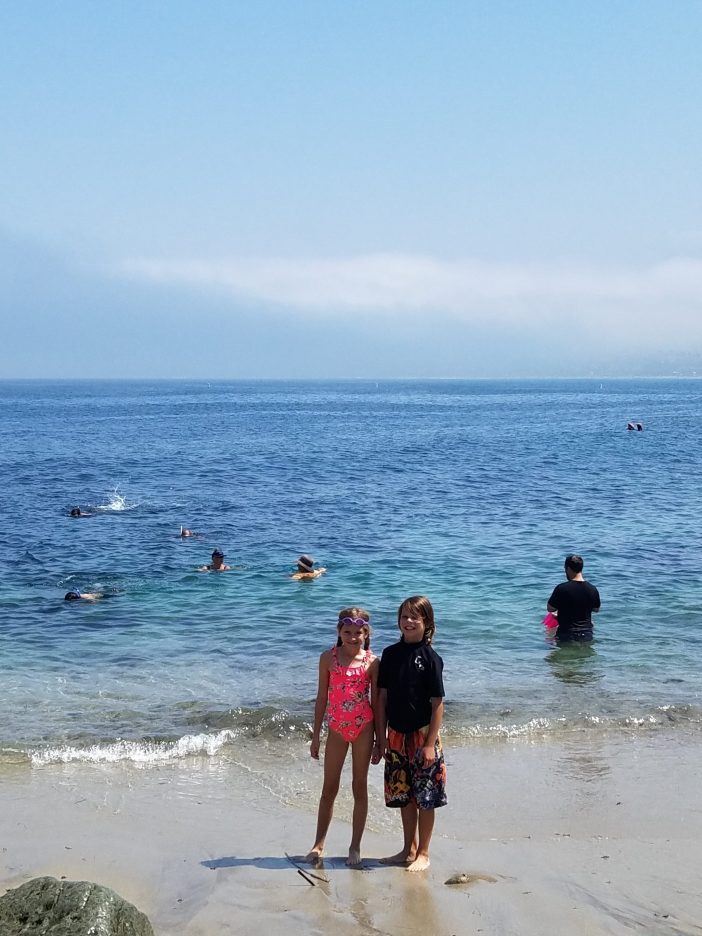 la jolla beach