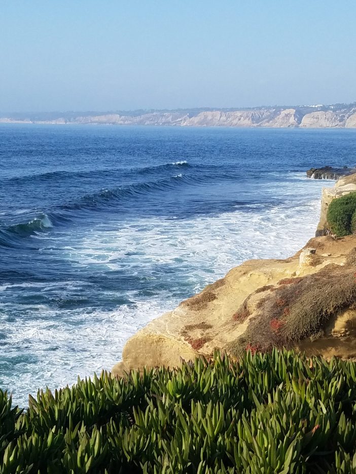 ocean la jolla