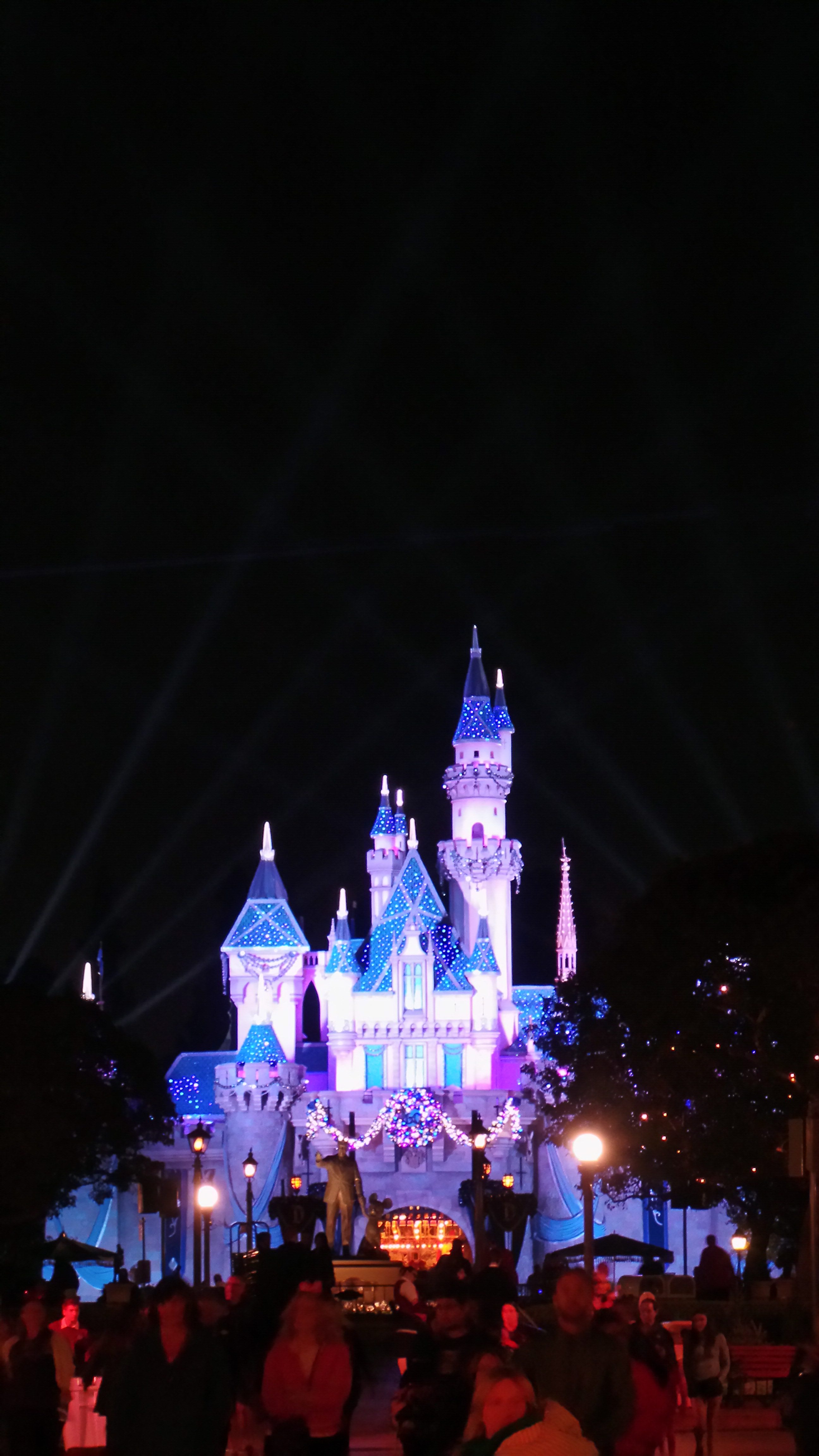 Disneyland castle night time