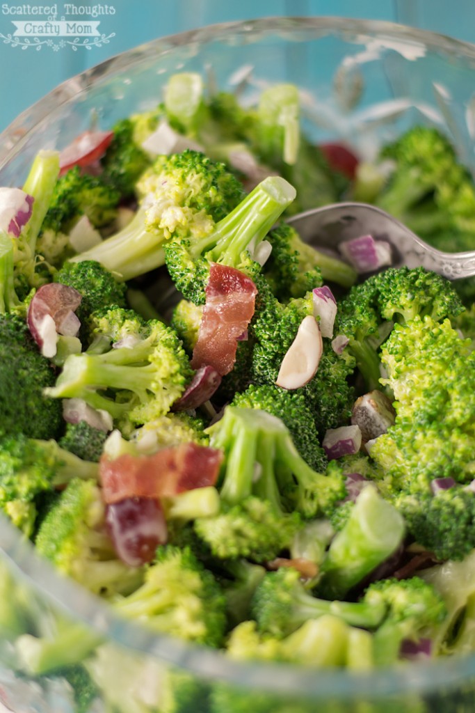 Favorite Broccoli Salad Recipe
