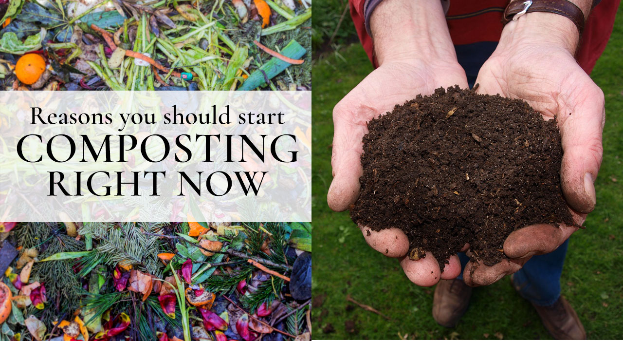 Reasons you should start composting right now! It is easy!