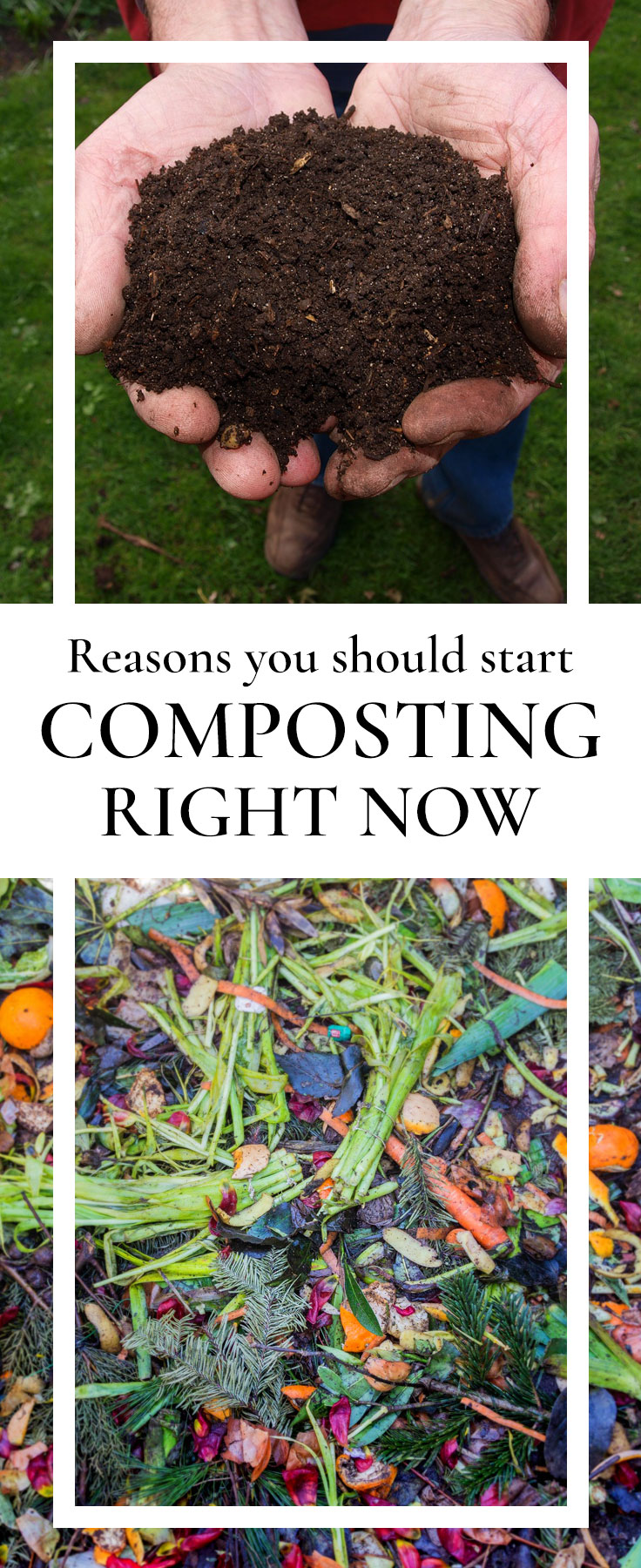 start composting