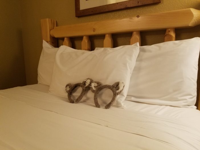 basic room at great wolf lodge
