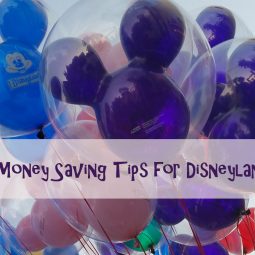 money saving tips disneyland