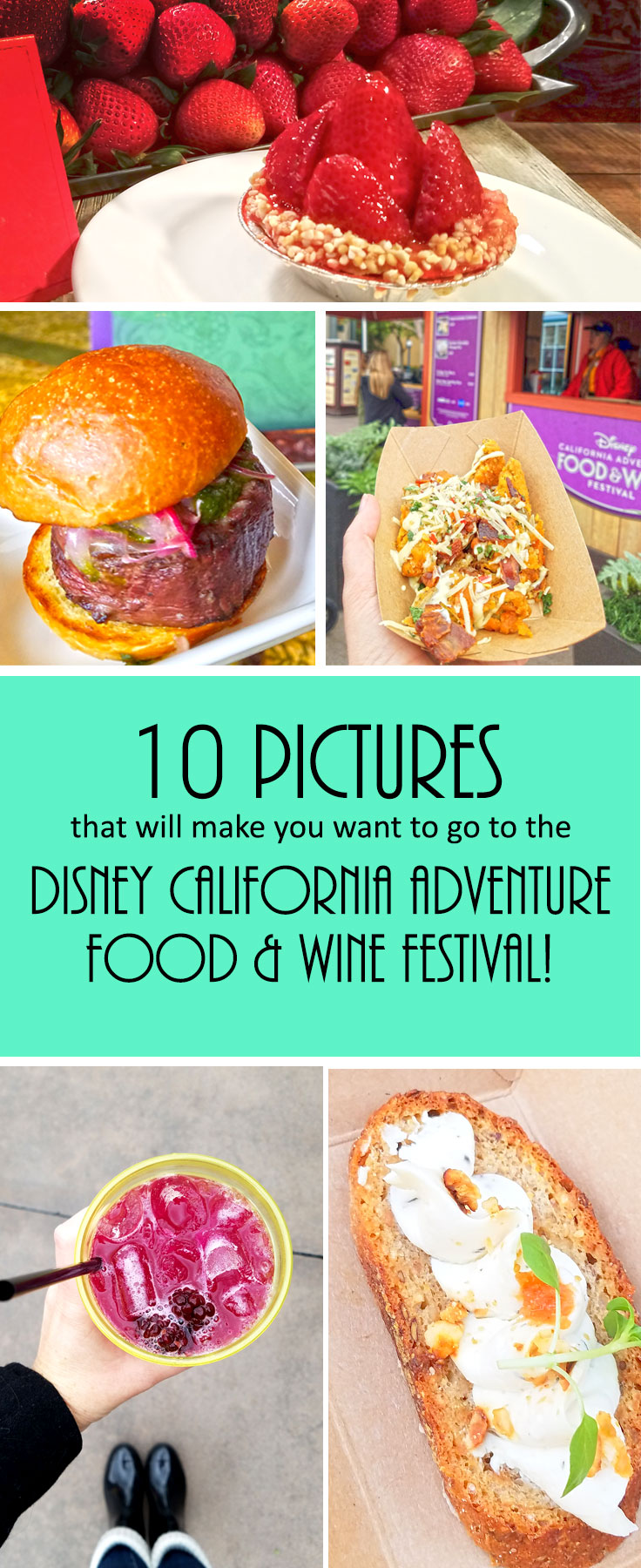 Disney California Adventure Food and Wine Festival