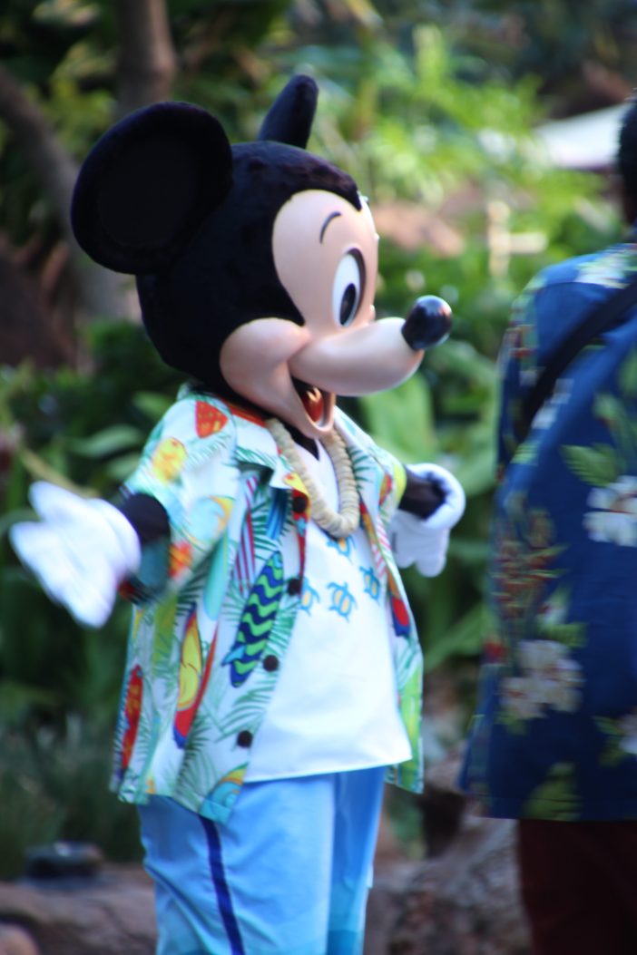 Mickey in Hawaii