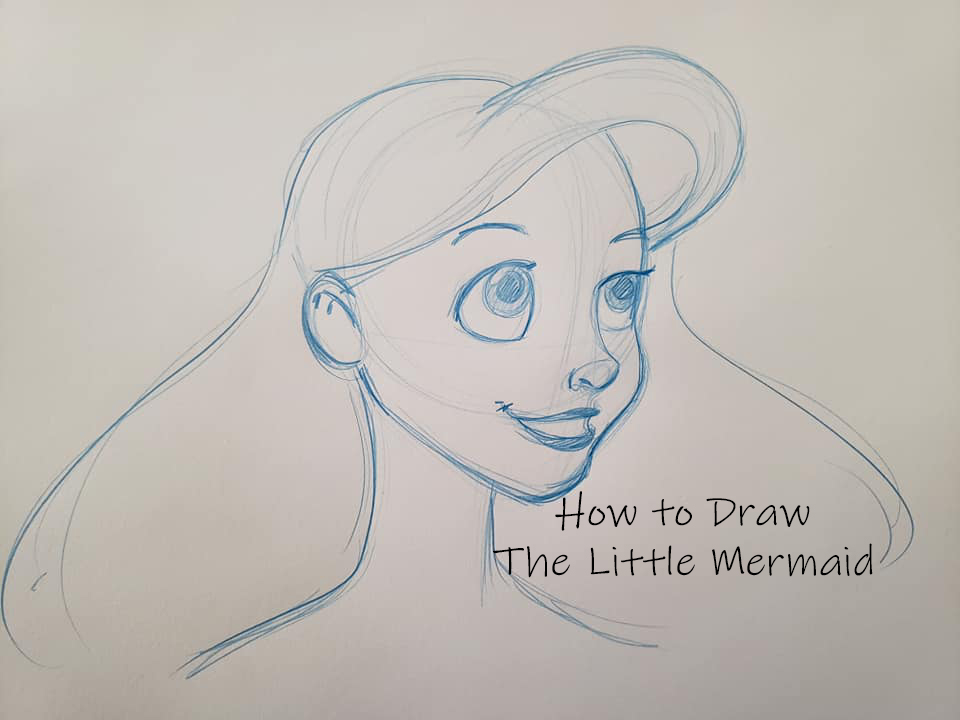 The Little Mermaid Ariel Character Study Sketch Walt Disney, 1989 by Walt  Disney Studios on artnet
