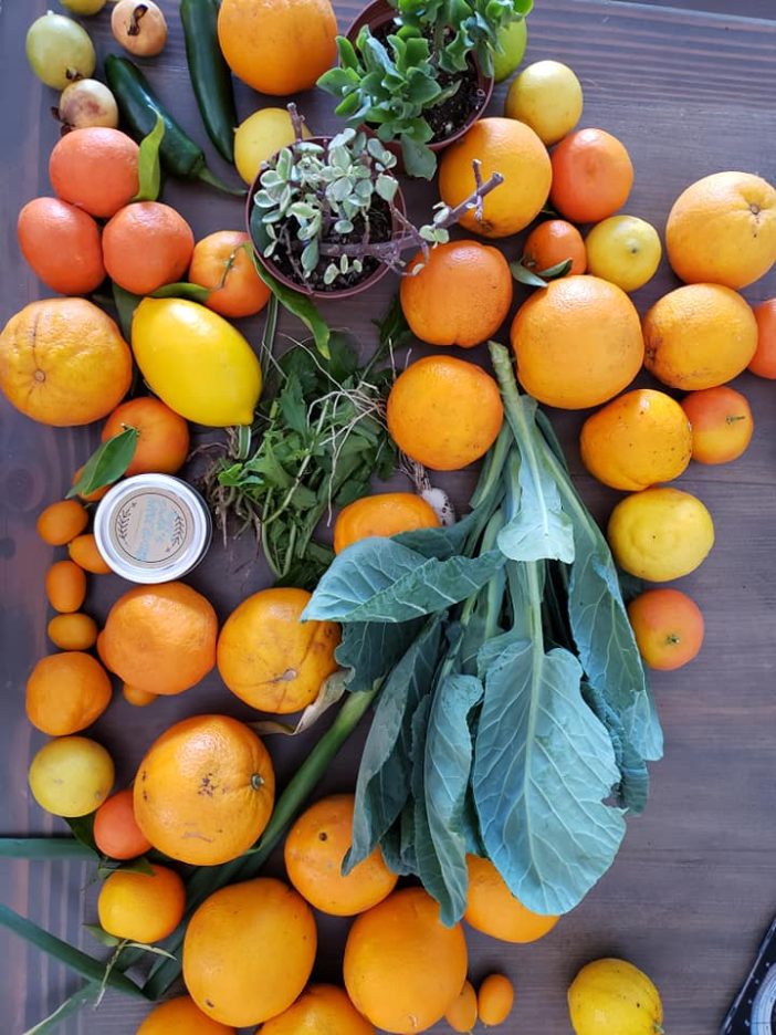 zero waste crop swap citrus