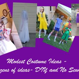 modest Costume Ideas