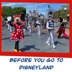 save money disney vacation things to buy before your trip