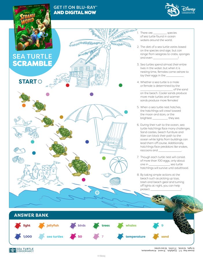 FREE Sea Turtle Earth Day Printable Activity Page