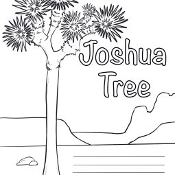 Joshua Tree Coloring Page
