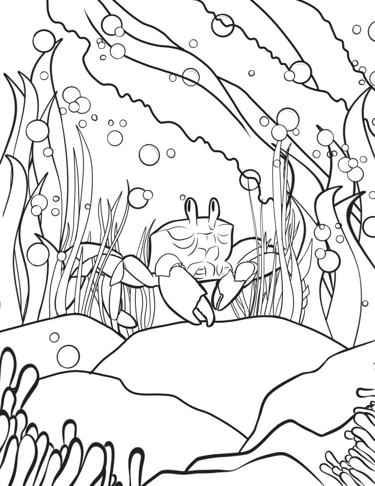 Halle Bailey The Little Mermaid Coloring Pages