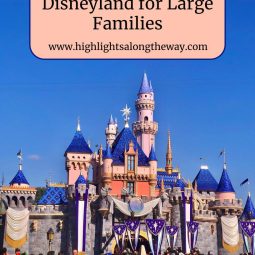 Best Hotels Near Disneyland for Large Families
