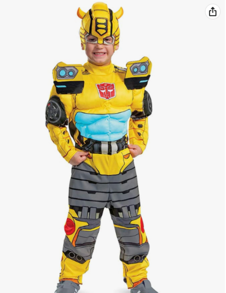 Adaptive Costumes for Kids