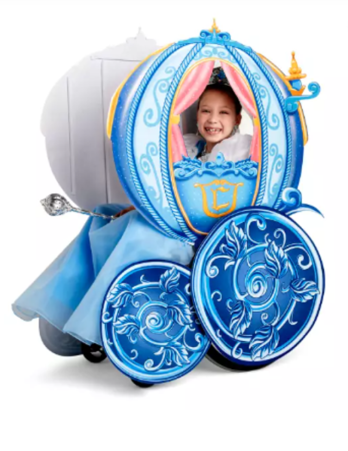 wheelchair princess costumes