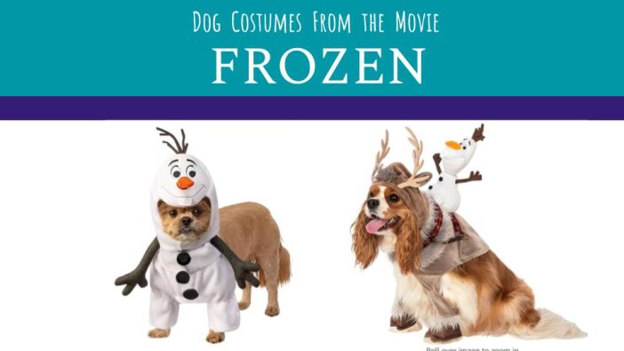 olaf and sven dog costumes