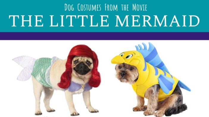 little mermaid dog costume