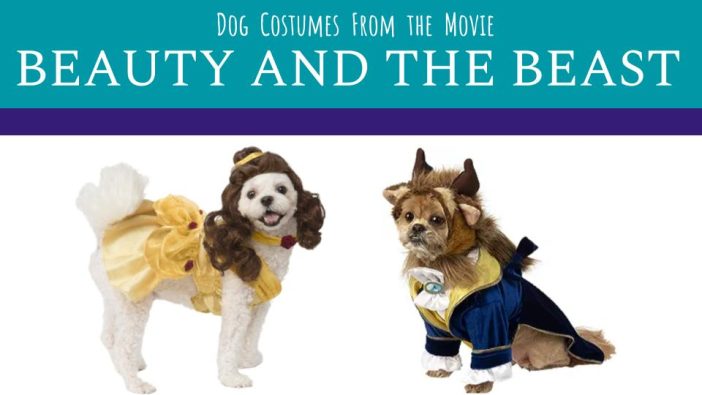 beauty and the beast dog costumes