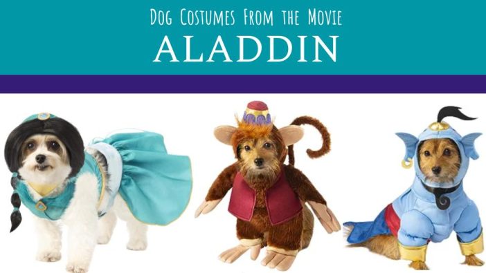 aladdin costumes for dogs