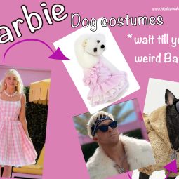Weird barbie and ken dog costume halloween ideas