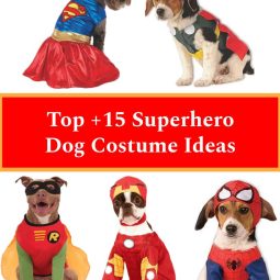 15 plus dog costume ideas superheros